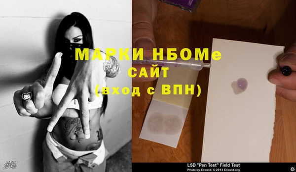 гидра Наволоки