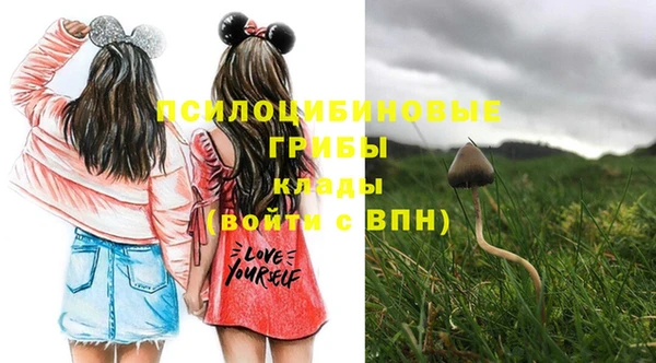 гидра Наволоки