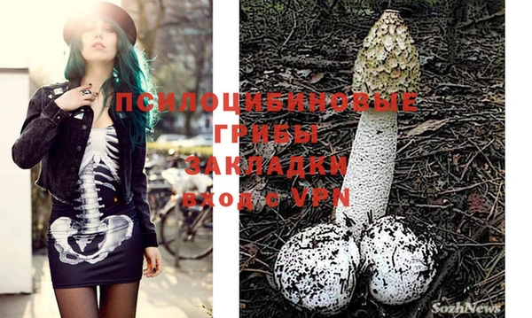 гидра Наволоки