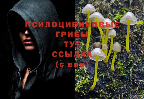 COCAINE Надым