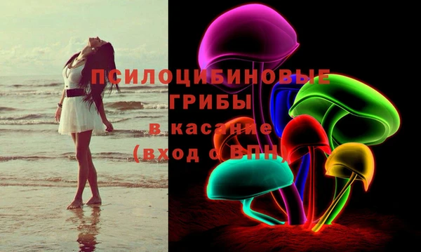 гидра Наволоки