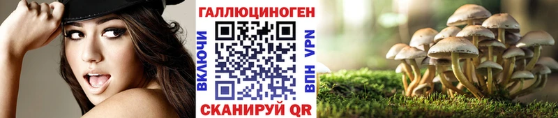 Псилоцибиновые грибы Cubensis  Иноземцево 